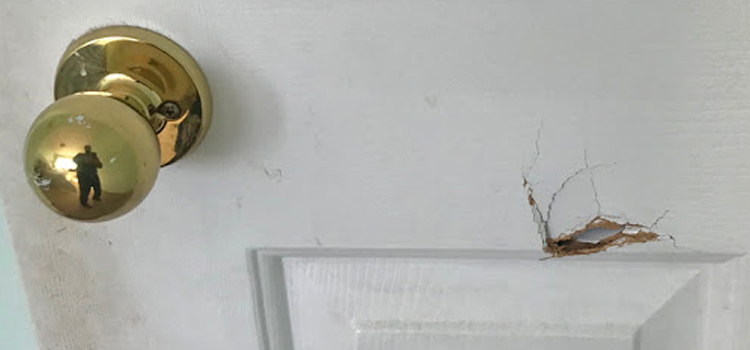 interior door hole repair Dixon