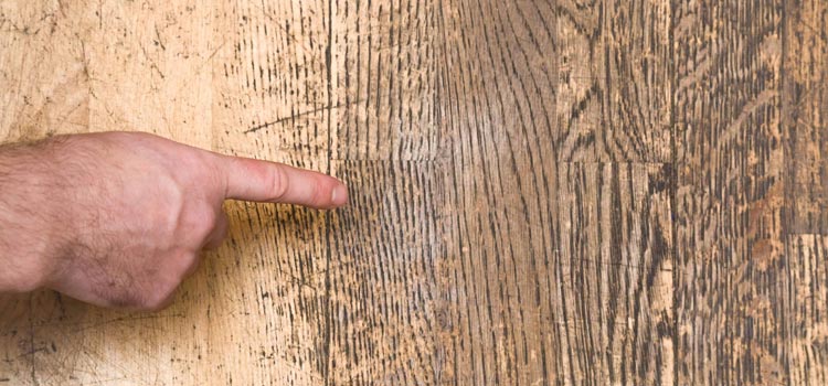 Wood Door Scratch Repair in Dixon